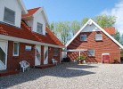 Silbermöwe
