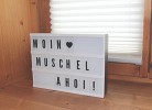 Muschel