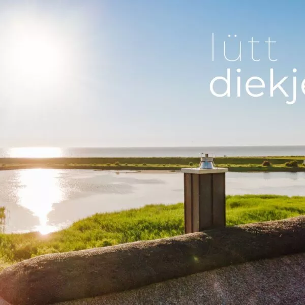 01-Lütt-Diekje_Ferienhaus-Westermarkelsdorf-Coverfoto